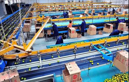 a股 外資重倉高端制造業(yè),行業(yè)兩大 核心 賽道爆發(fā) 附股