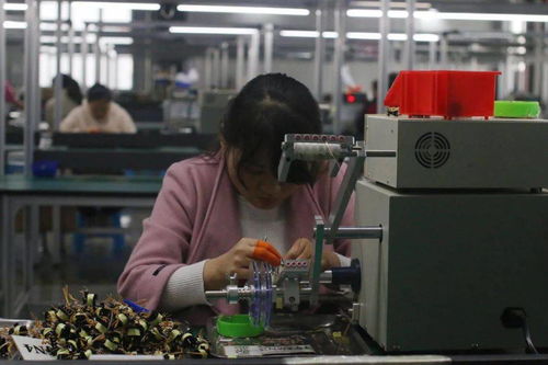 王宏兵赴武功縣調(diào)研督導(dǎo)“止滑促升、決戰(zhàn)收官”工作 助力電子材料生產(chǎn)發(fā)展